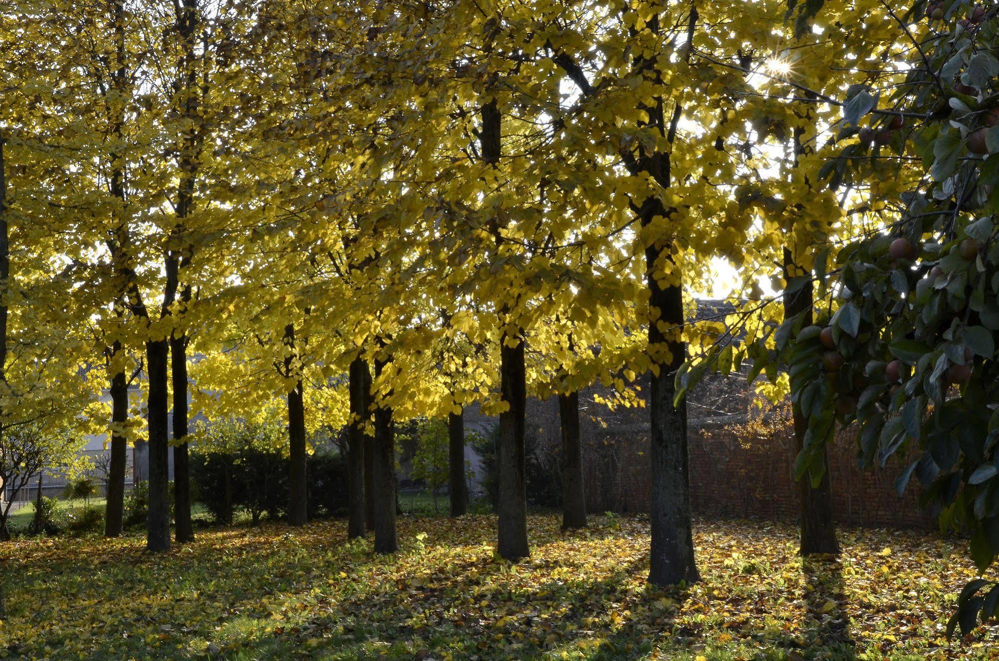 9 Muse Bed And Breakfast Canneto sull'Oglio Bagian luar foto