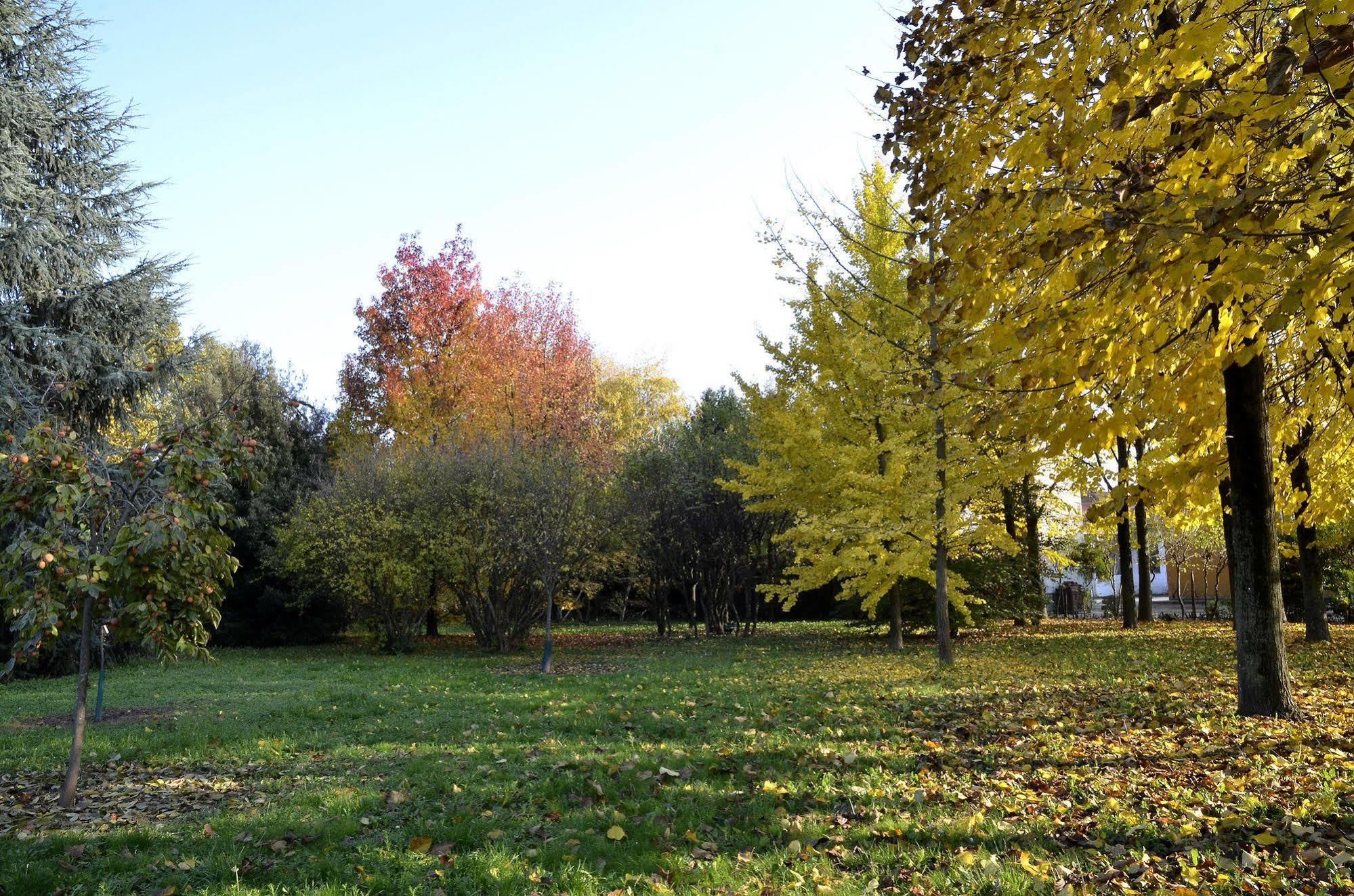 9 Muse Bed And Breakfast Canneto sull'Oglio Bagian luar foto